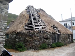 IMG_0420.5 IMG_0420.5