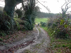 DSCN7205 DSCN7205