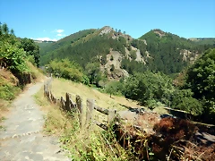 DSCN7791 DSCN7791