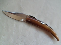 SAM_1243 SAM_1243