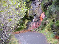 DSCN0723 DSCN0723