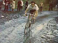 Merckx-Roubaix