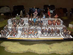 SDC10071