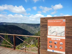 DSCN7777 DSCN7777