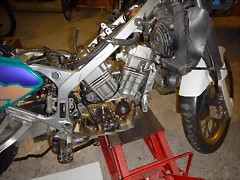 DSCN2390 DSCN2390