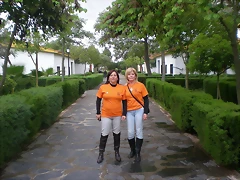 MERIDA 007