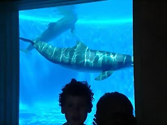 20130813_155756 20130813_155756