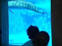 20130813_155750 20130813_155750