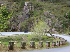 IMG_1893 IMG_1893