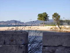 Vigo Vigo