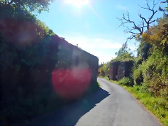 DSCN2393 DSCN2393