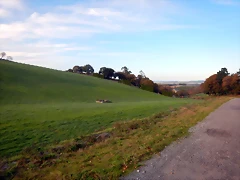 DSCN0548 DSCN0548