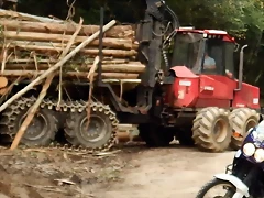 tractor tractor