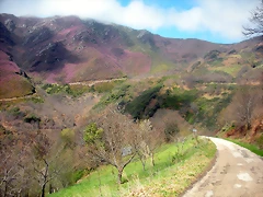 DSCN3935 DSCN3935