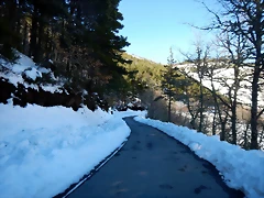 DSCN1811 DSCN1811