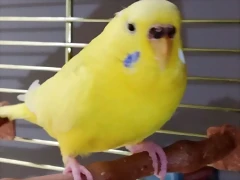 20190616_165445 20190616_165445