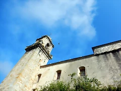 DSCN5653 DSCN5653