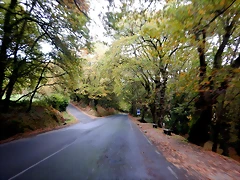 DSCN1228 DSCN1228