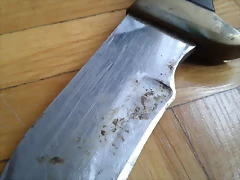 Muela 02 Muela 02