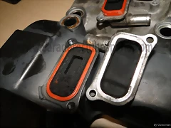 44