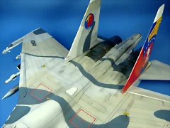 SU-30V 9