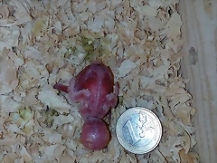 IMG-20170804-WA0010