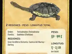 tortuga de cuello de serpiente