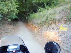 DSCN8988 DSCN8988