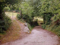 DSCN4234 DSCN4234