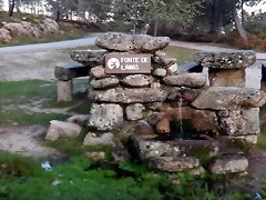 DSCN1783 DSCN1783