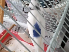 20190901_142904