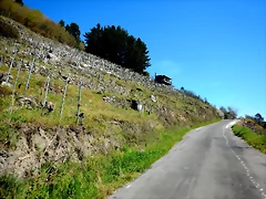 DSCN5174 DSCN5174