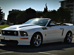 DSC_0341 DSC_0341