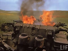 59445378mq4