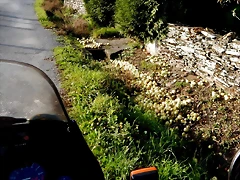 DSCN0515 DSCN0515