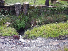 DSCN7306