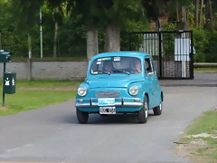 P1190145 P1190145