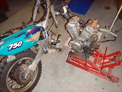 DSCN1385 DSCN1385