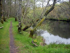 DSCN4156 DSCN4156
