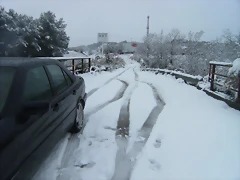 NEVADA 2015 017