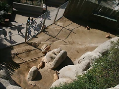 Zoo de Barcelona 27-02-11 182 Zoo de Barcelona 27-02-11 182