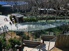 Zoo de Barcelona 27-02-11 179 Zoo de Barcelona 27-02-11 179