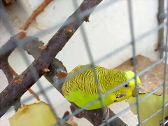 IMG_20180309_165924