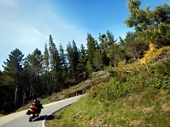 DSCN1258 DSCN1258