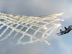 Caza Su-27 en el festival aereo de Monino en Rusia