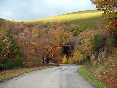 DSCN4909 DSCN4909