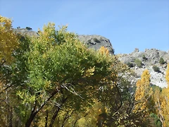 DSCF2067 DSCF2067