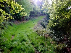 DSCN2099 DSCN2099