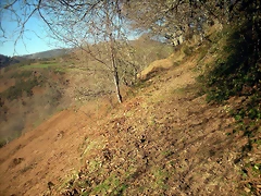 DSCN3009 DSCN3009