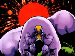 The Maxx 01-13